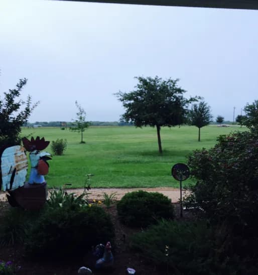 View across the Compass Centre grounds with garden rooster