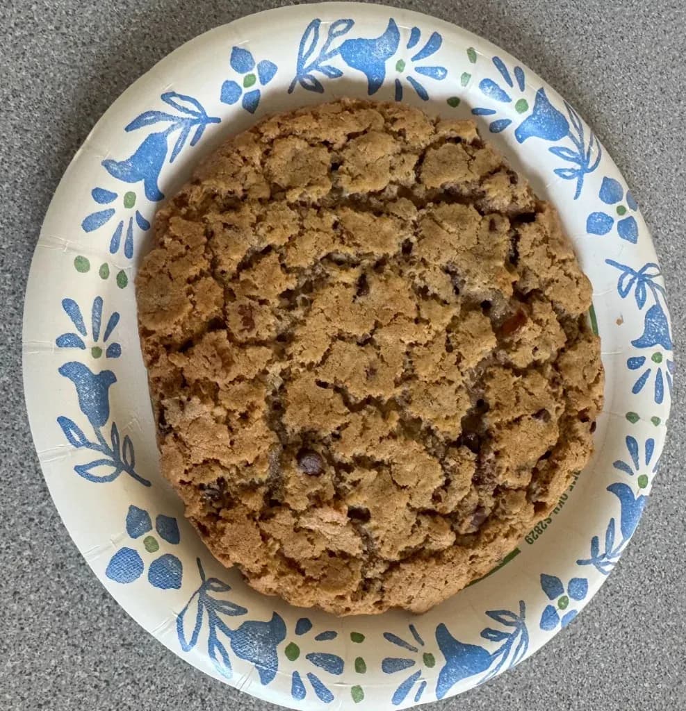 A Big O cookie on a plate